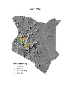 Ken2014Stemrust
