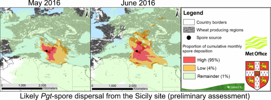 Picture Showing Pgt-spore Dispersal from Sicily site